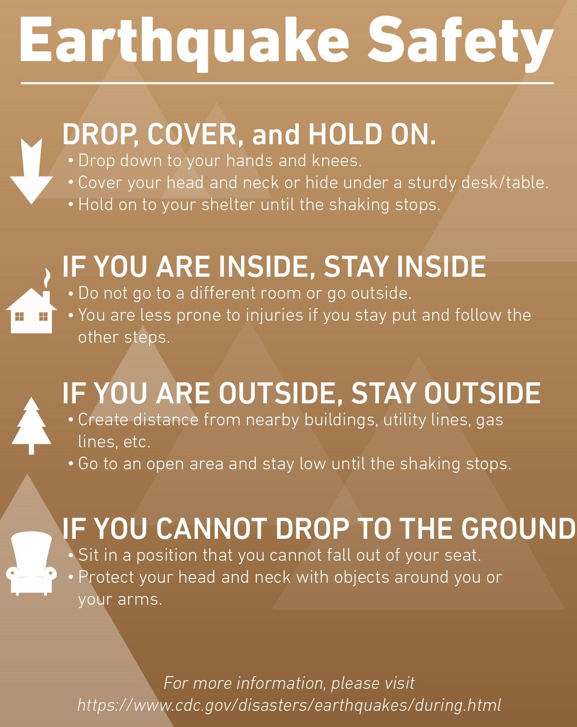 Graphic presenting earthquake safety tips.