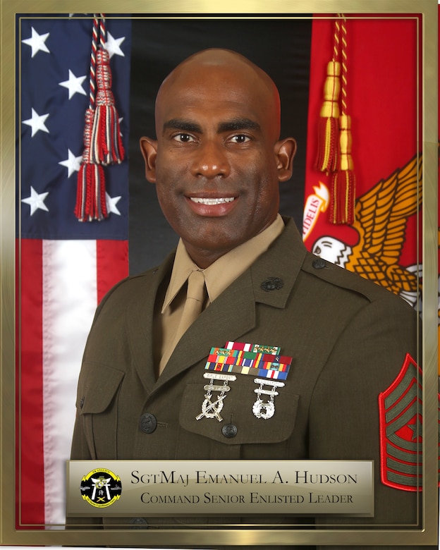 Official command photo for Sergeant Major Emanuel A. Hudson