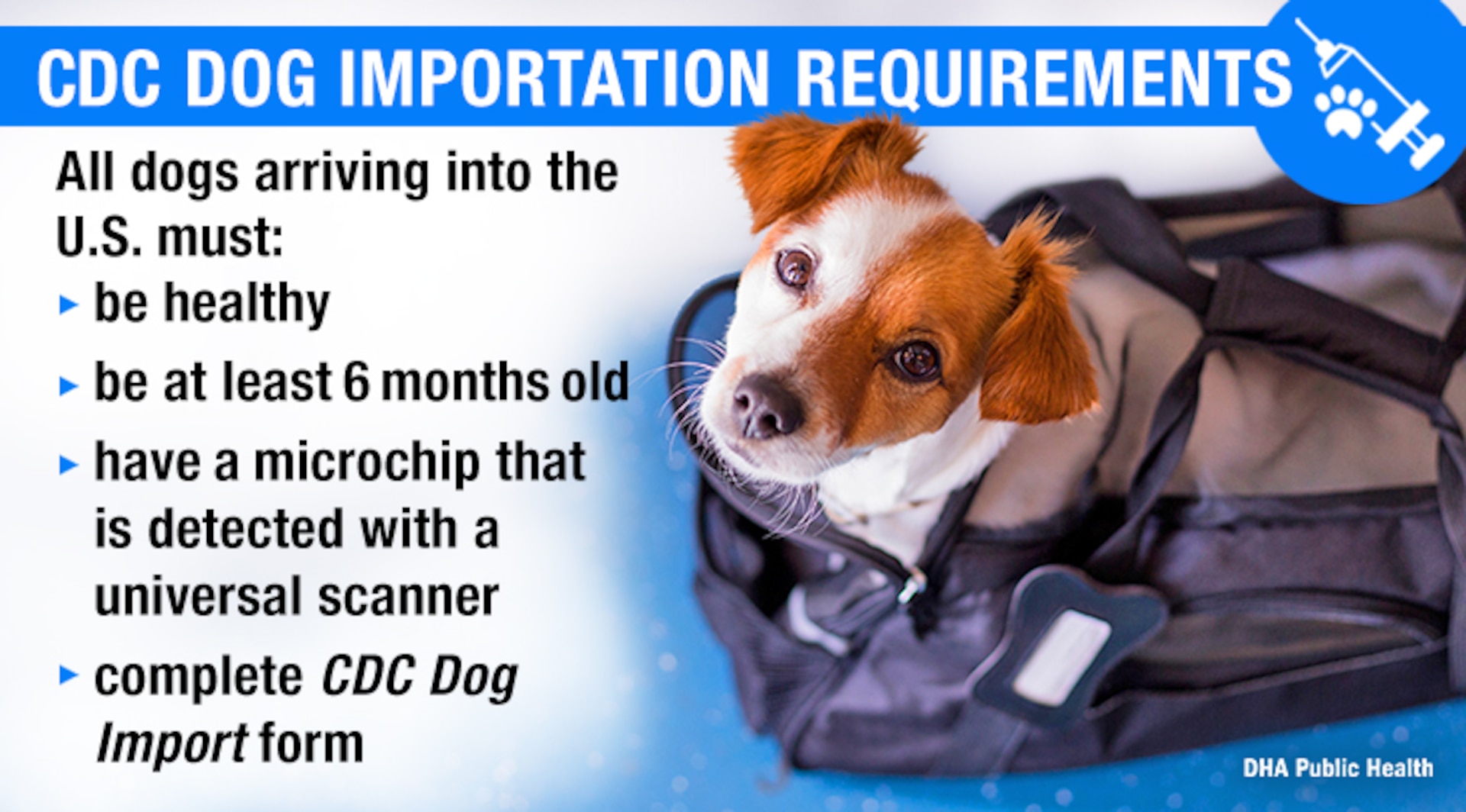 All dogs arriving into the U.S. must:
Be Healthy
Be at least 6 months old
Have a Microchip that is detected with a universal scanner
Have a complete CDC Dog Import form