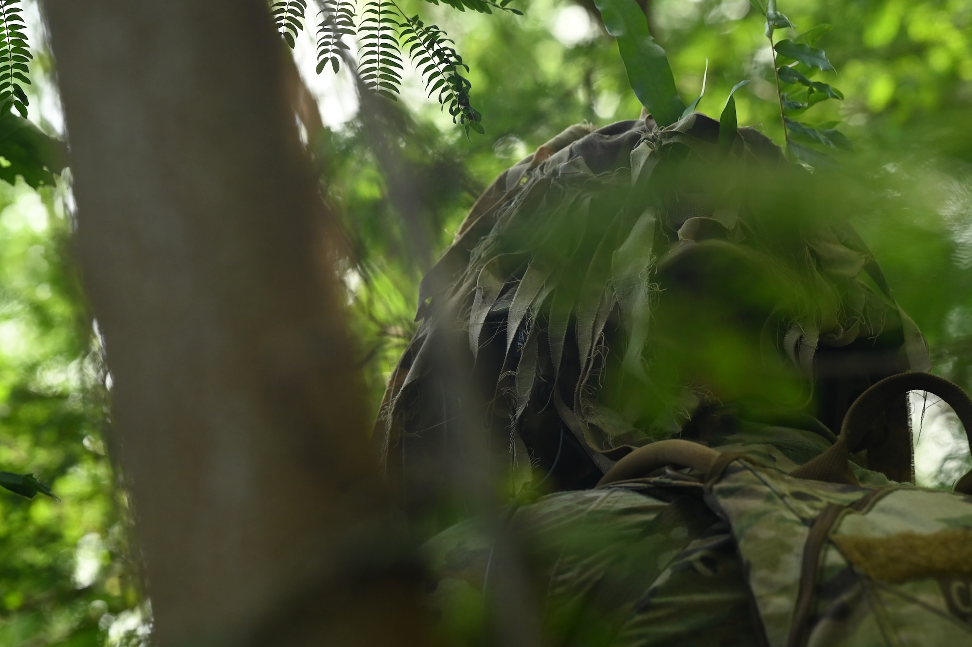 736th Security Forces Squadron Airmen participate in a beta test for the new Jungle Agile Combat Employment Course at Andersen Air Force Base, Guam, July 30, 2024. This will be the only U.S. Air Force jungle training course and one of three jungle training courses in the U.S. Department of Defense. (U.S. Air Force photo by Airman 1st Class Adasha Williams)