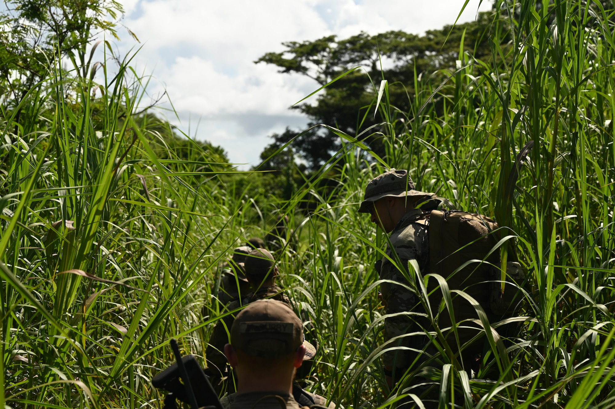 736th Security Forces Squadron Airmen participate in a beta test for the new Jungle Agile Combat Employment Course at Andersen Air Force Base, Guam, July 30, 2024. This will be the only U.S. Air Force jungle training course and one of three jungle training courses in the U.S. Department of Defense. (U.S. Air Force photo by Airman 1st Class Adasha Williams)