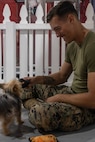 U.S. Marine Corps Lance Cpl. Jackson Blubaugh, a rifleman with 1st Battalion, 1st Marine Regiment, 1st Marine Division, plays with a dog during a volunteer event at Emerald City Pet Rescue as part of Seattle Seafair Fleet Week in Seattle, Aug. 2, 2024. The U.S. Navy, Coast Guard, and Marines have been involved in Seafair in some way since the festival began 75 years ago. The annual event provides service members an opportunity to interact with the American people and promotes the Navy-Marine Corps team as the nation’s expeditionary force in readiness. Blubaugh is a native of Iowa. (U.S. Marine Corps photo by Sgt. Cameron Hermanet)