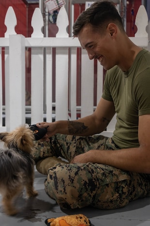 U.S. Marine Corps Lance Cpl. Jackson Blubaugh, a rifleman with 1st Battalion, 1st Marine Regiment, 1st Marine Division, plays with a dog during a volunteer event at Emerald City Pet Rescue as part of Seattle Seafair Fleet Week in Seattle, Aug. 2, 2024. The U.S. Navy, Coast Guard, and Marines have been involved in Seafair in some way since the festival began 75 years ago. The annual event provides service members an opportunity to interact with the American people and promotes the Navy-Marine Corps team as the nation’s expeditionary force in readiness. Blubaugh is a native of Iowa. (U.S. Marine Corps photo by Sgt. Cameron Hermanet)