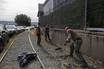 U.S. Marine Corps Lance Cpl. Matthew Willis, left, a motor vehicle operator with Combat Logistics Battalion 23, 4th Marine Logistics Group, pulls weeds alongside U.S. Navy Sailors during a volunteer event at Emerald City Pet Rescue as part of Seattle Seafair Fleet Week in Seattle, Aug. 2, 2024. The U.S. Navy, Coast Guard, and Marines have been involved in Seafair in some way since the festival began 75 years ago. The annual event provides service members an opportunity to interact with the American people and promotes the Navy-Marine Corps team as the nation’s expeditionary force in readiness. Willis is a native of Washington. (U.S. Marine Corps photo by Sgt. Cameron Hermanet)