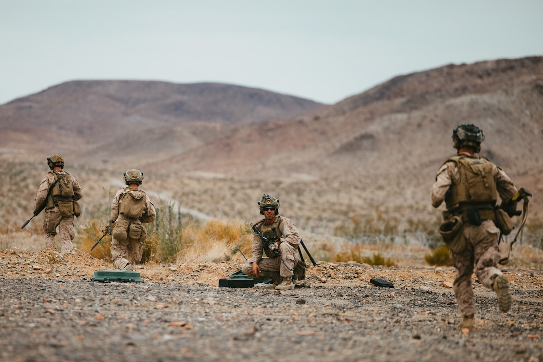 U.S. Marines with 1st Battalion, 2d Marine Regiment, 2d Marine Division conduct a movement to contact range as a part of Service Level Training Exercise (SLTE) 5-24 at Marine Corps Air-Ground Combat Center, Twentynine Palms, California, Aug. 1, 2024. The purpose of SLTE 5-24 is to create a challenging, realistic training environment that produces combat-ready forces capable of operating as an integrated Marine Air Ground Task Force. (U.S. Marine Corps photo by Cpl. Alexis Sanchez)