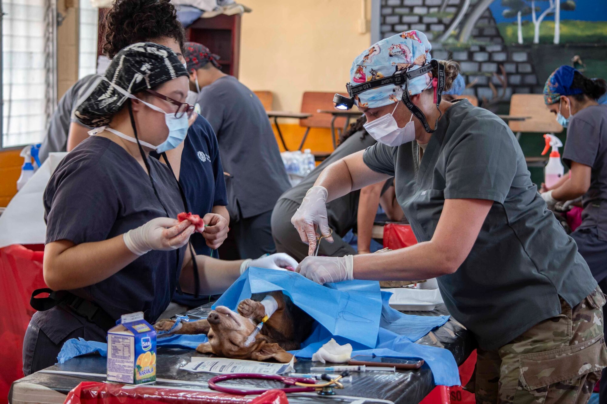 A photo of people standing over a dog conducting surgery on a table.