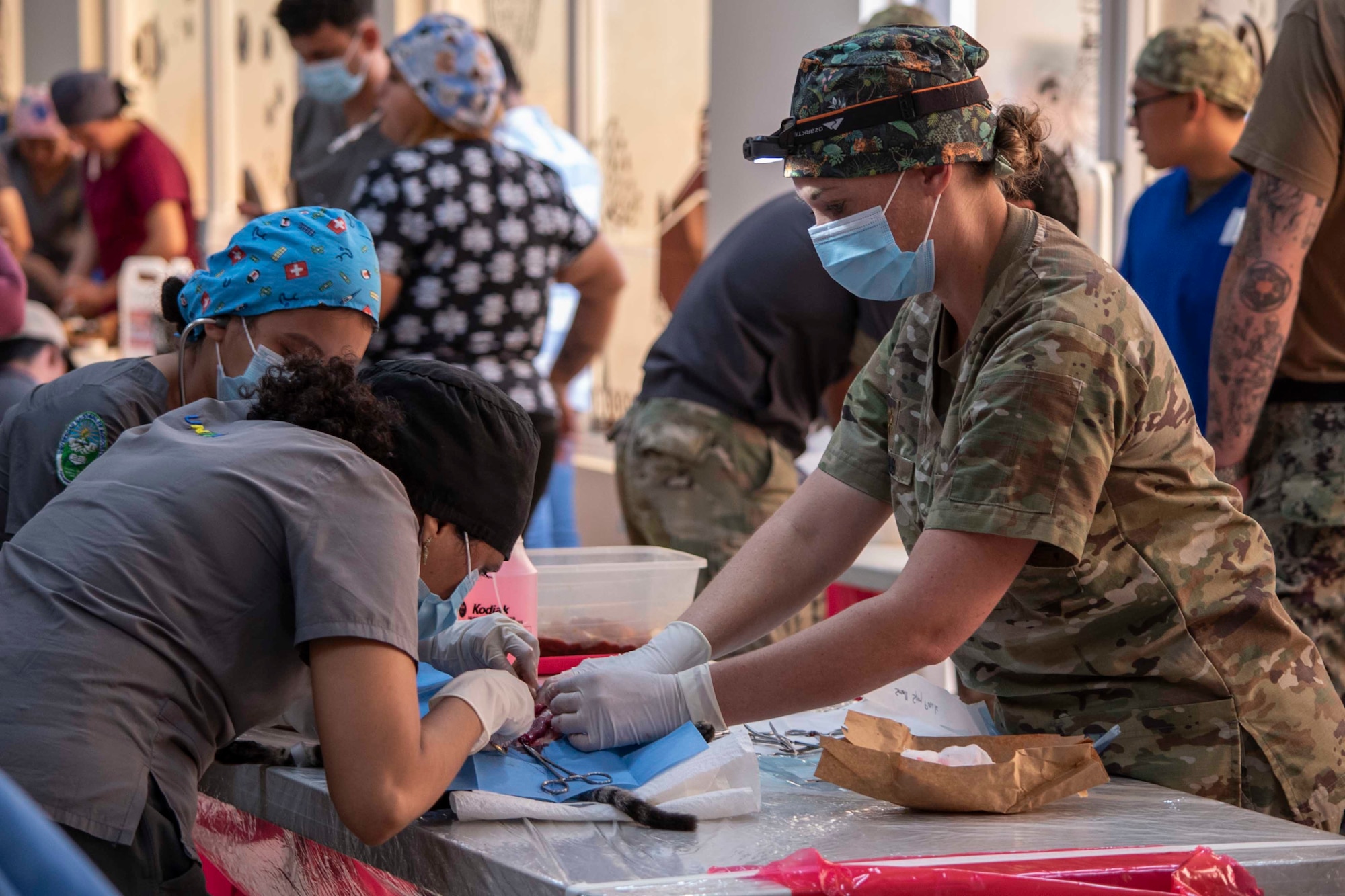 A photo of three people standing over a cat at a table doing surgery.