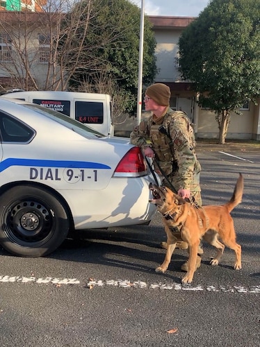 ek, 374th Security Forces Squadron military working dog, and U.S. Air Force Senior Airman William Hepp V, 374th SFS MWD handler, carry out training.