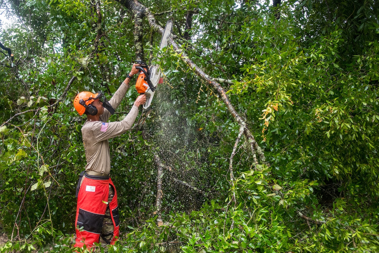 An airman cuts a branch with a chainsaw amid other branches and shrubs while outdoors.