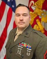 INSPECTOR - INSPECTOR UNIT SENIOR ENSLITED LEADER, HEADQUARTERS BATTERY, 3RD BATTALION, 14TH MARINE REGIMENT