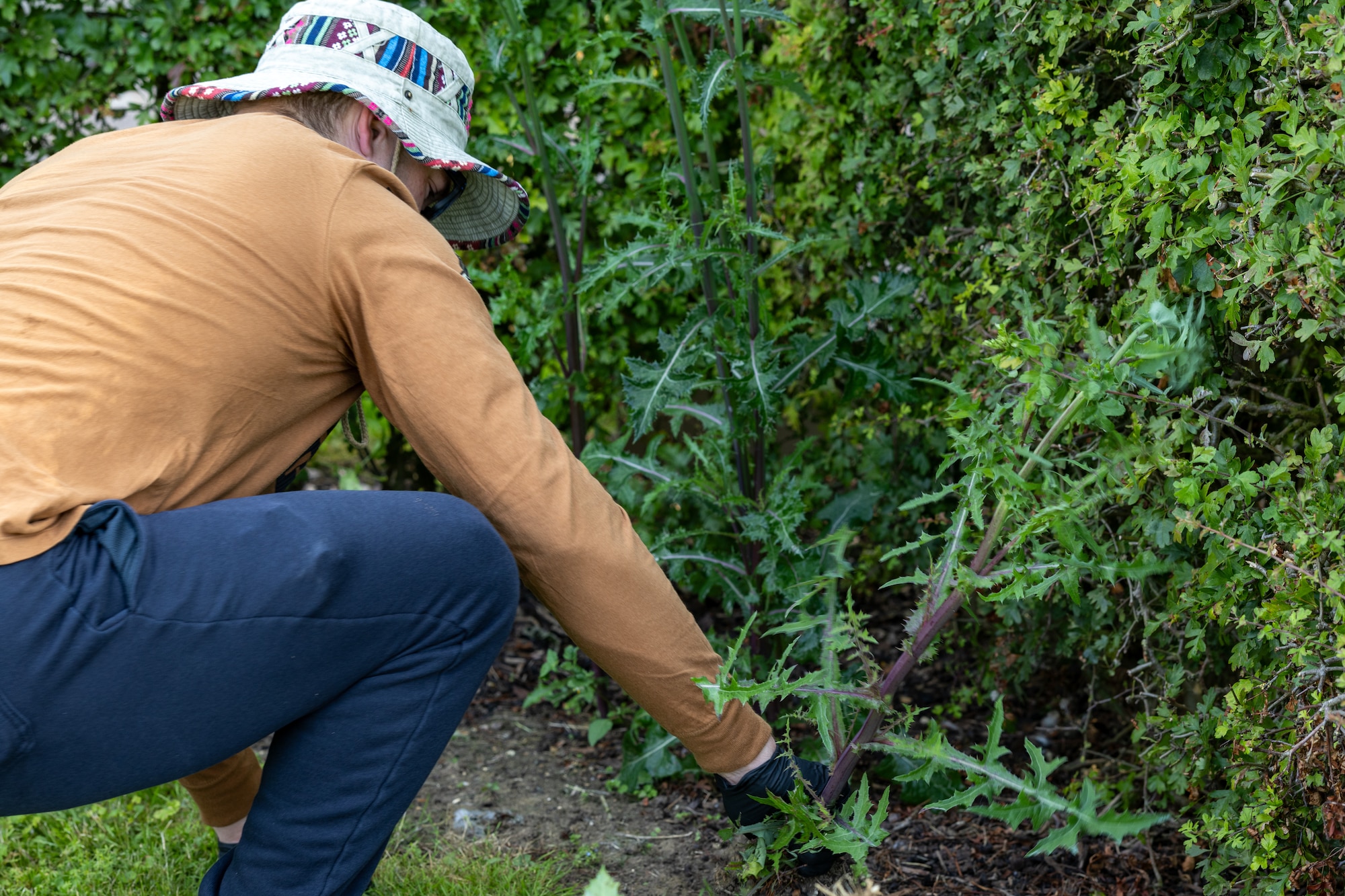 Student pulls weeds for an Airman Leadership School community service project