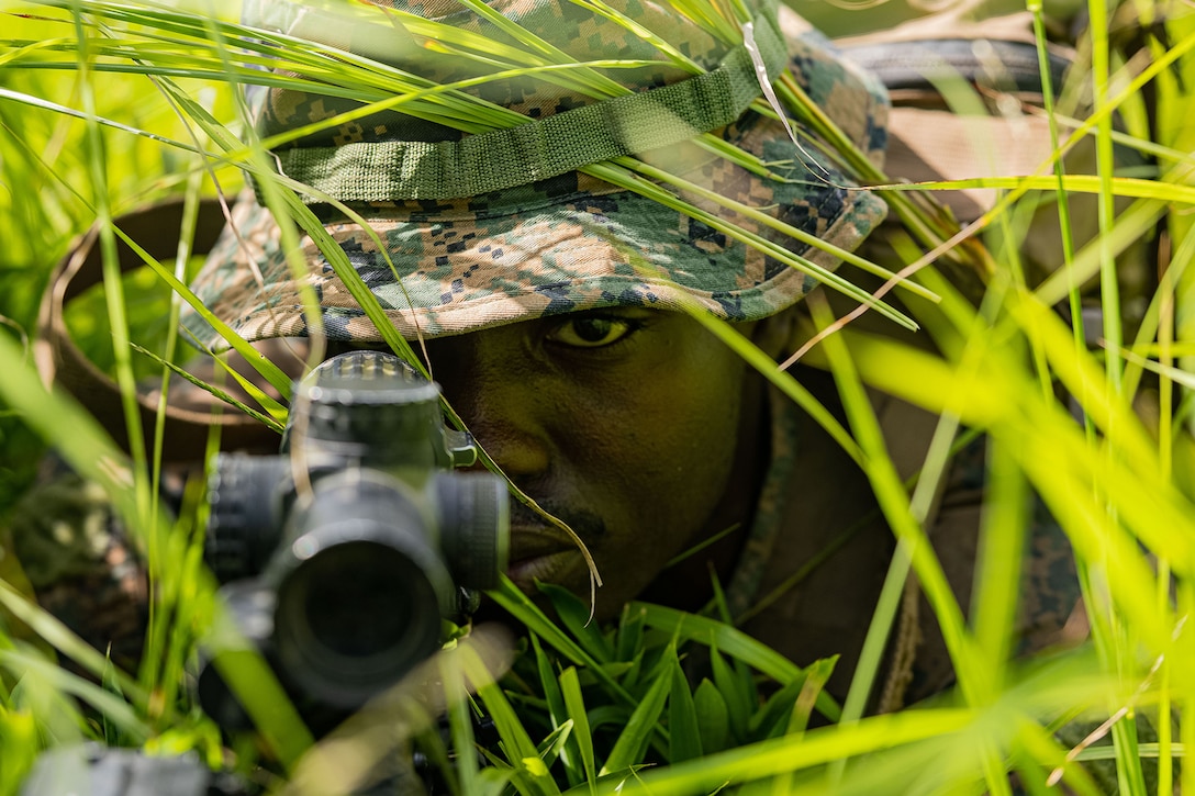 Close-up of a Marine lying in the grass while looking through the scope of a rifle during daylight.