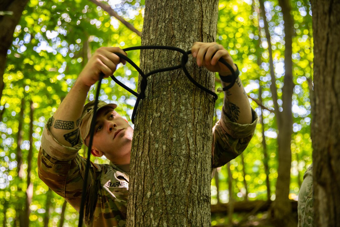 A solider reaches up to tie a rope around a tree in a wooded area during daylight.