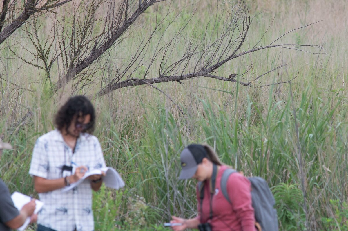 a bird sits on a branch behind people doing a survey