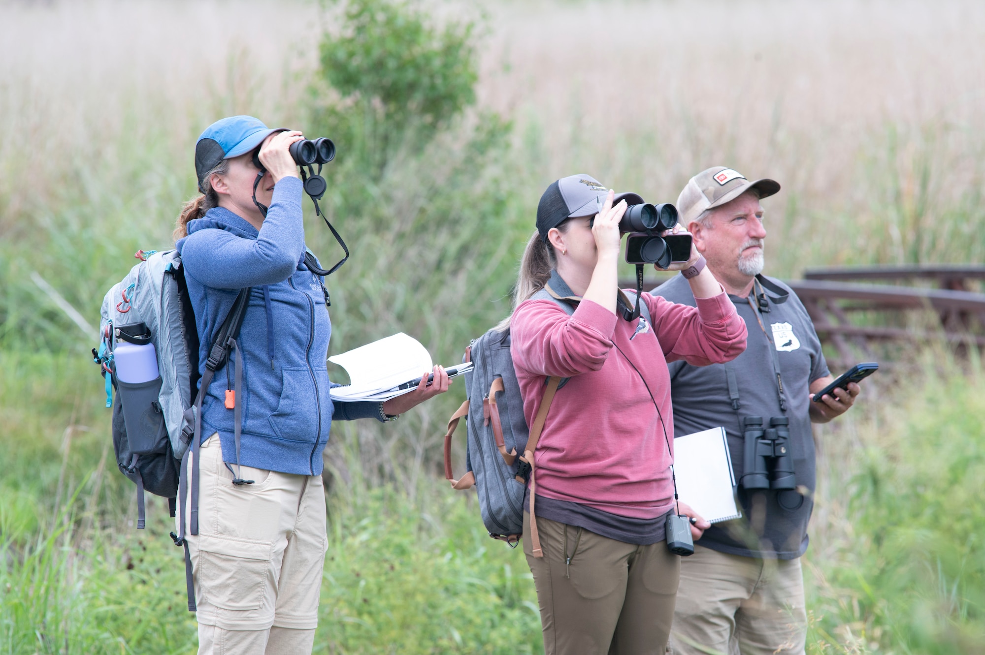 people use binoculars to look at birds