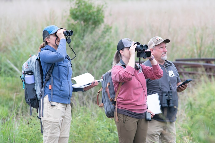 people use binoculars to look at birds