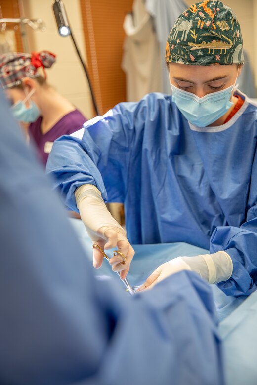 A veterinarian in a light blue smock, mask, and multi-colored hair covering is performing surgery on an animal that is covered by a light blue sheet.