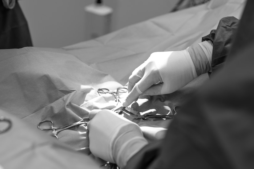 A veterinarian's gloved hands are seen with surgical tools around as the doctor performs surgery on an animal that is covered in a cloth.