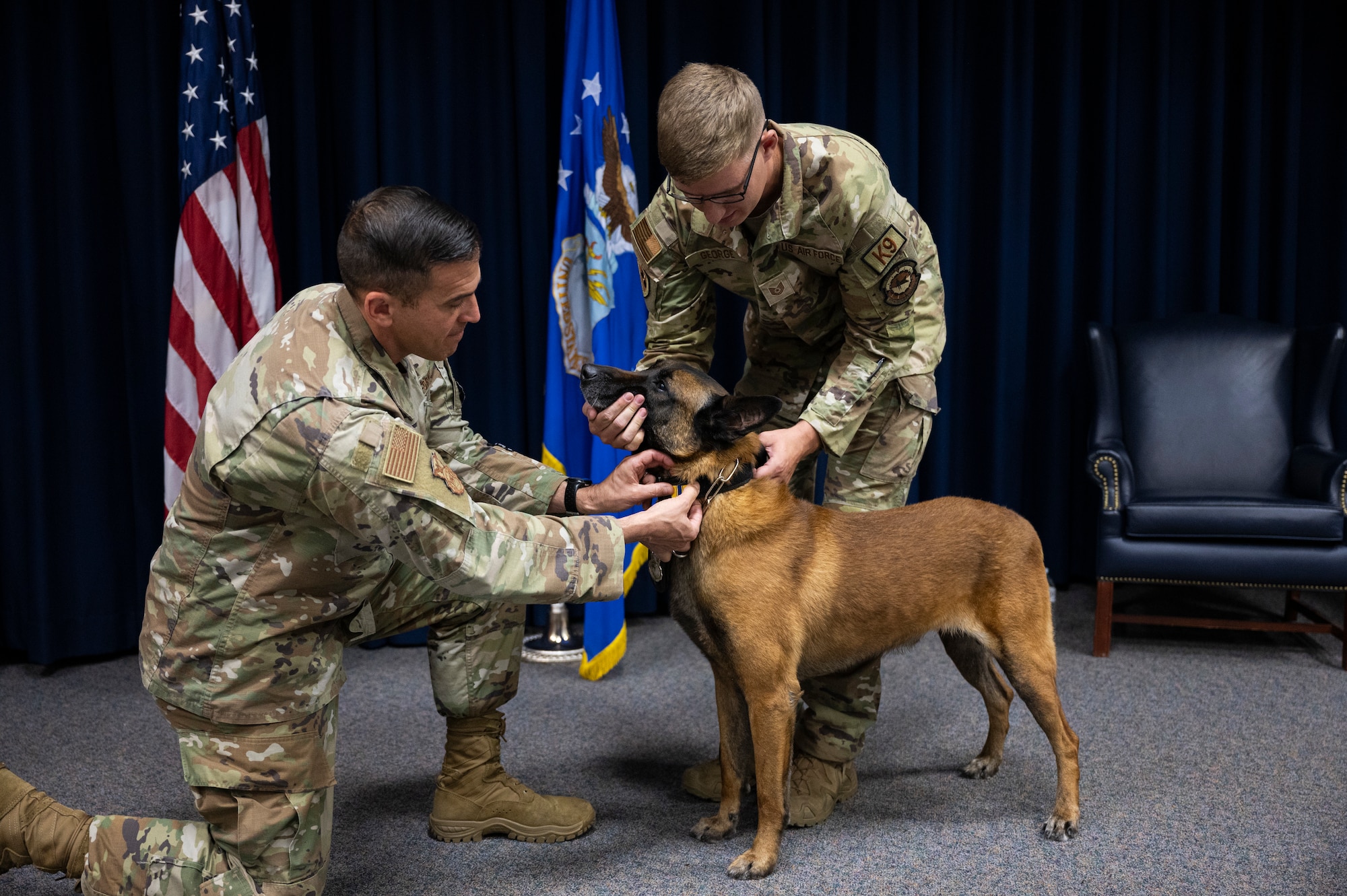 A man touches a dogs collar.