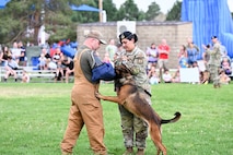 Two military K-9 handlers demonstrate a military working dog to a crowd in the background
