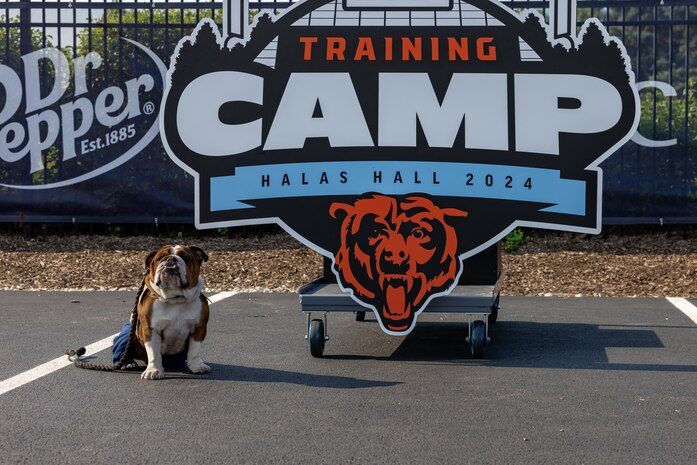 U.S. Marine Corps Lance Cpl. Bruno, the mascot of Marine Corps Recruit Depot San Diego, Western Recruiting Region, poses for a photo at Halas Hall, Lake Forest, Ill., Aug. 8, 2024. Lance Cpl. Bruno attended the Chicago Bears’ training camp to promote the U.S. Marine Corps, and interact with the public. (U.S. Marine Corps photo by Cpl. Reine Whitaker)