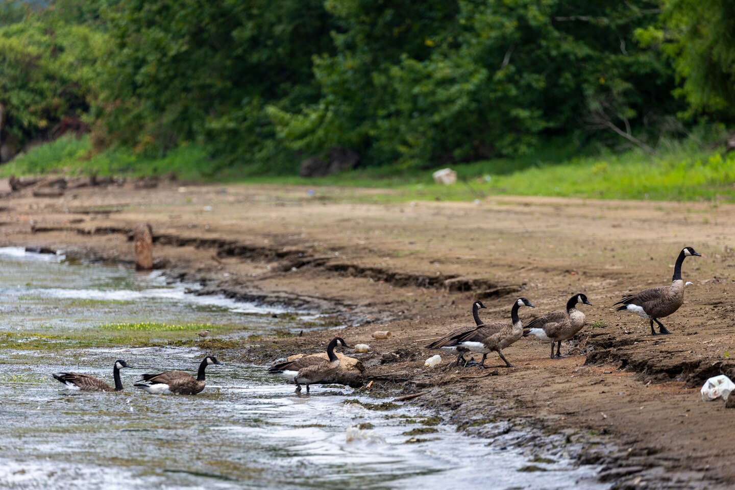 The U.S. Army Corps of Engineers Pittsburgh District conducted a shoreline survey to protect potential cultural resources. Cultural resources can include archaeological artifacts or historical sites.