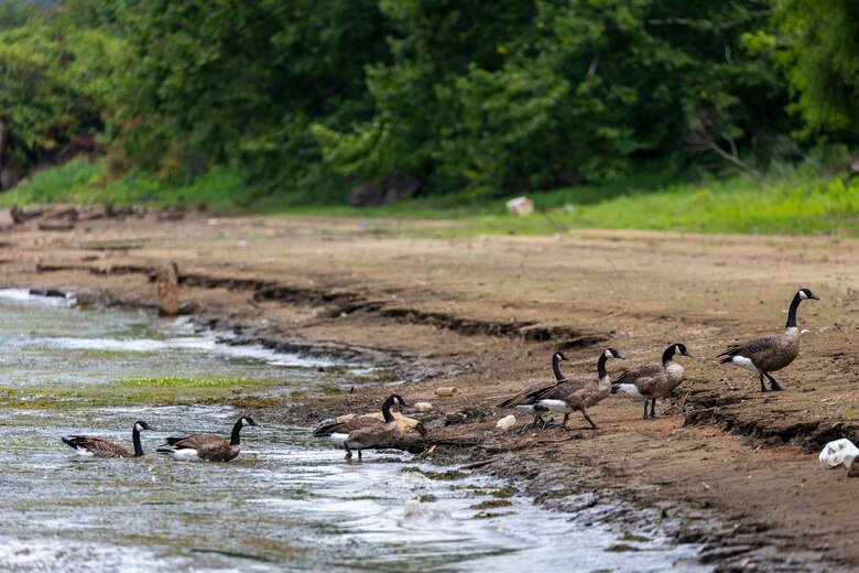 The U.S. Army Corps of Engineers Pittsburgh District conducted a shoreline survey to protect potential cultural resources. Cultural resources can include archaeological artifacts or historical sites.