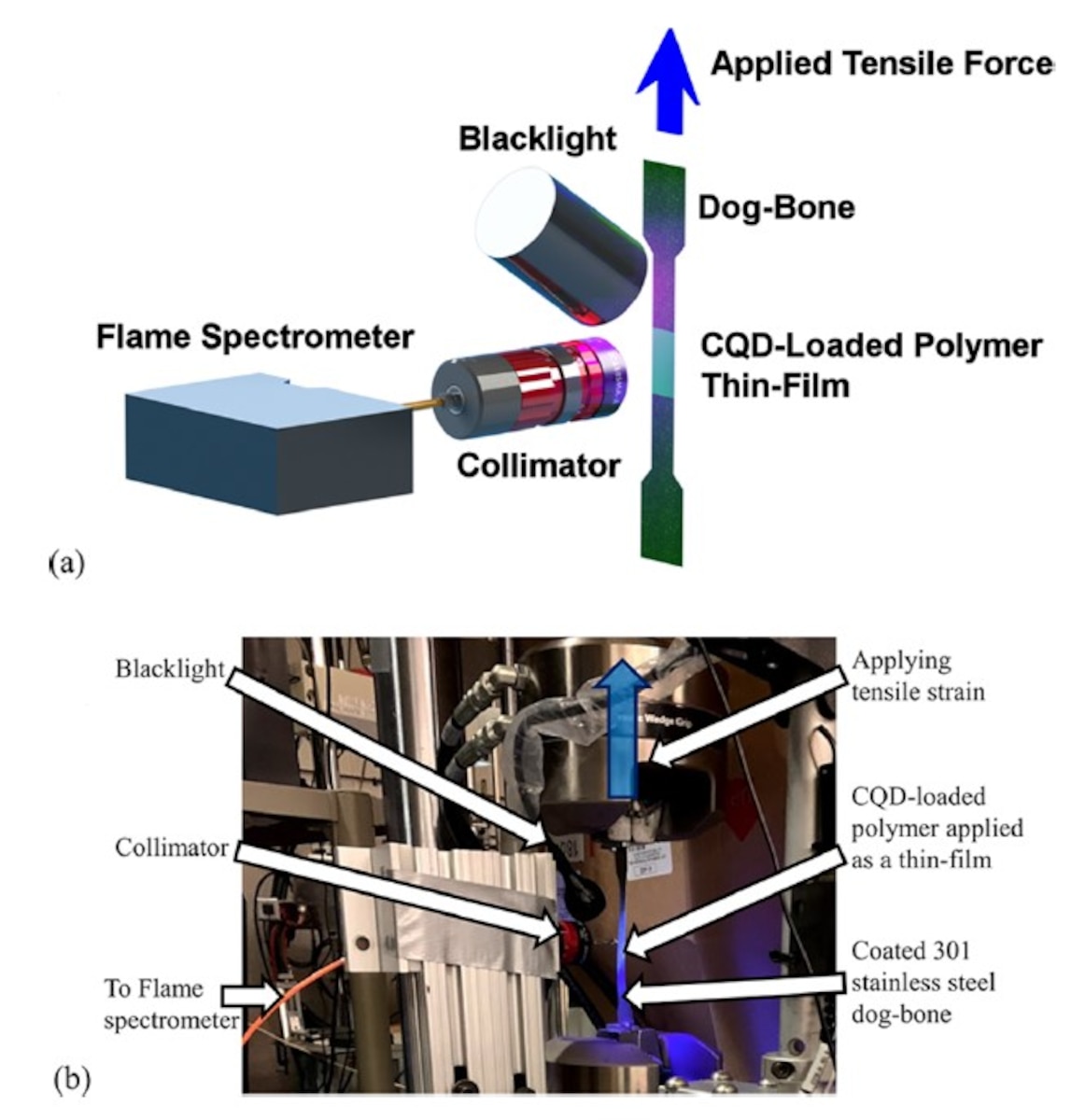 Illustration of experimental setup