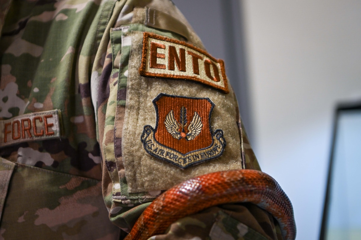 U.S. Air Force Airman assigned to the 52nd Civil Engineer Squadron pest management flight handles a corn snake at Spangdahlem Air Base, Germany, Aug. 13, 2024.