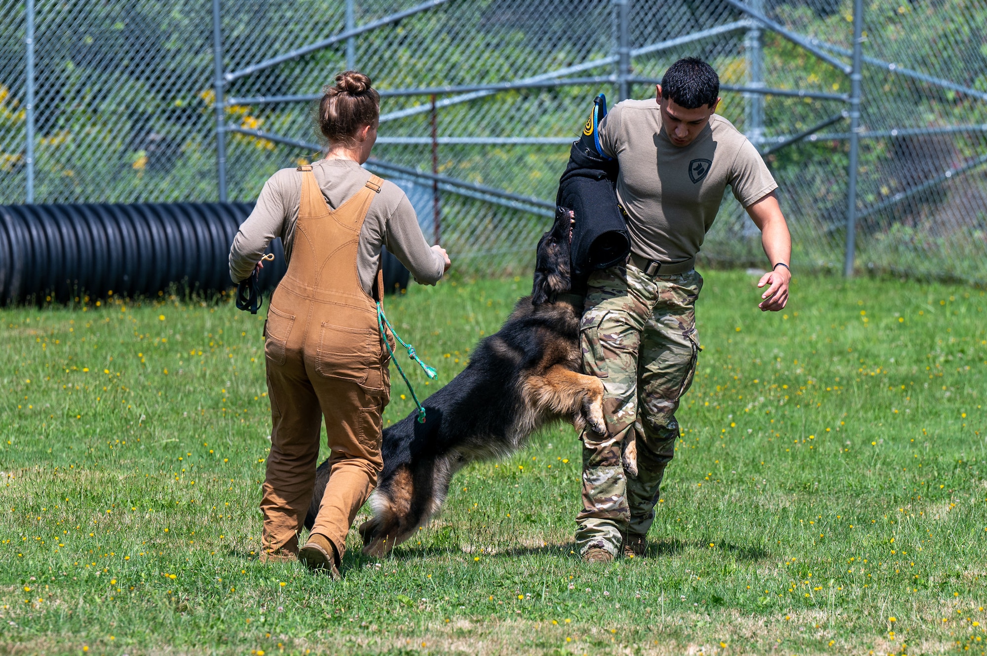 Military working dog demonstration.