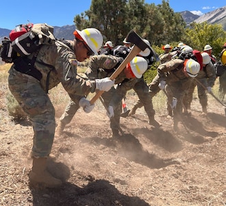 During line crew certification Aug. 16, 2024, Nevada National Guard trainees create firebreaks showcasing teamwork and determination in the fight against wildfires.