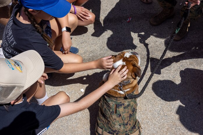 U.S. Marine Corps Lance Cpl. Bruno, the Marine Corps Recruit Depot San Diego and Western Recruiting Region mascot, engages with attendees of the Chicago Air and Water Show, Chicago, Illinois, Aug. 10, 2024. Bruno attended the Chicago Air and Water Show in support of community relations and recruiting efforts. The Chicago Air and Water Show presented by the City of Chicago is the largest free show of its kind in the United States. (U.S. Marine Corps photo by Cpl. Alexander O. Devereux)