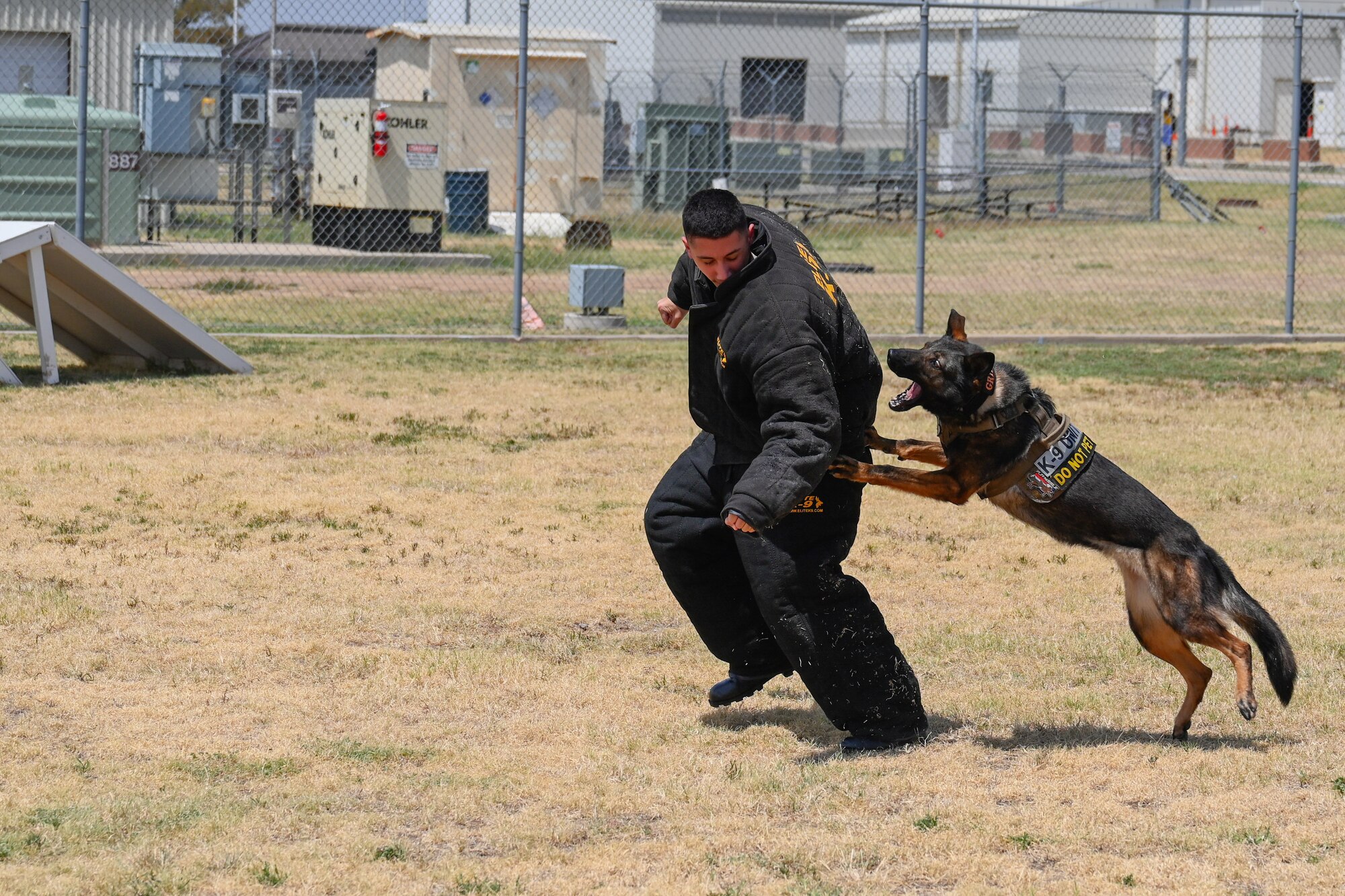 Josiah Sabine, Altus Chapter Civil Air Patrol cadet, prepares to be bitten by Griff, 97th Security Forces Squadron military working dog, at Altus Air Force Base, Oklahoma, Aug. 12, 2024. Military working dogs are a vital tool for the Air Force for detecting explosives, narcotics, and threats, enhancing security and protection. (U.S. Air Force photo by Airman 1st Class Jonah Bliss)