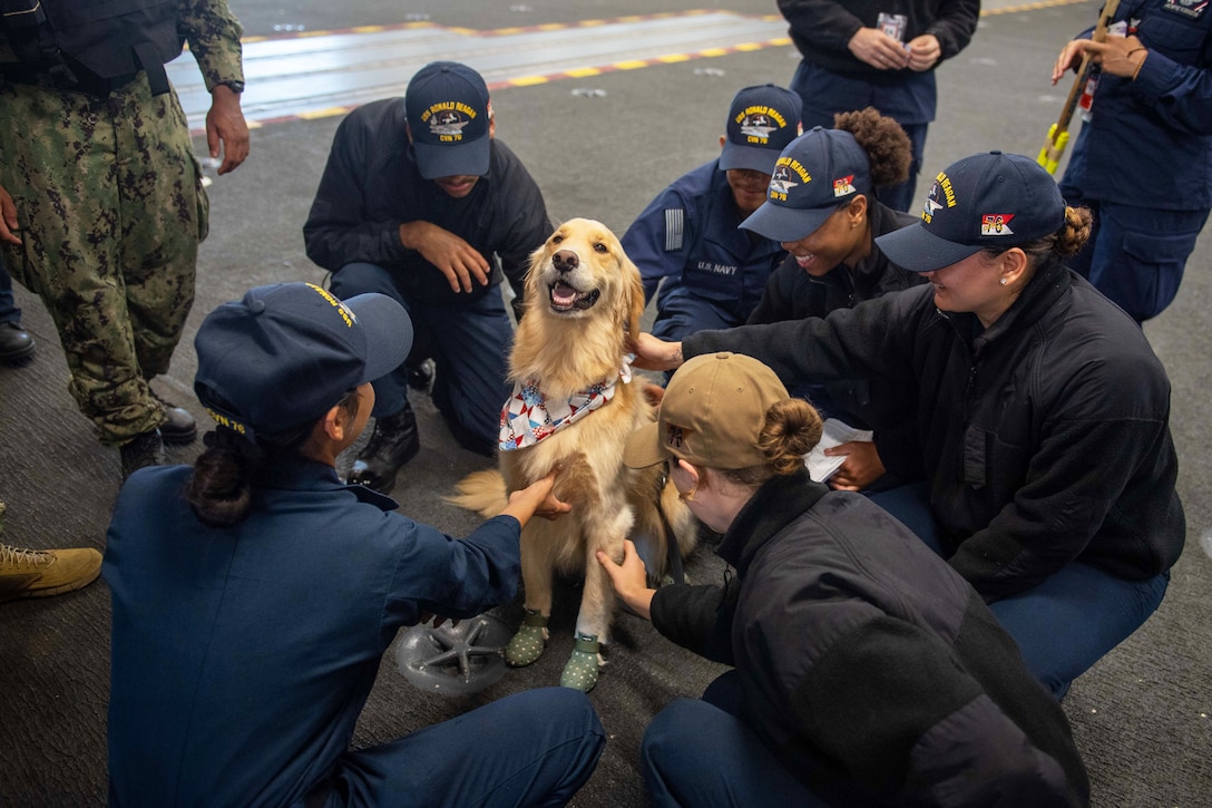 Sailors kneel in a circle to pet a therapy dog in the hangar bay of a ship.