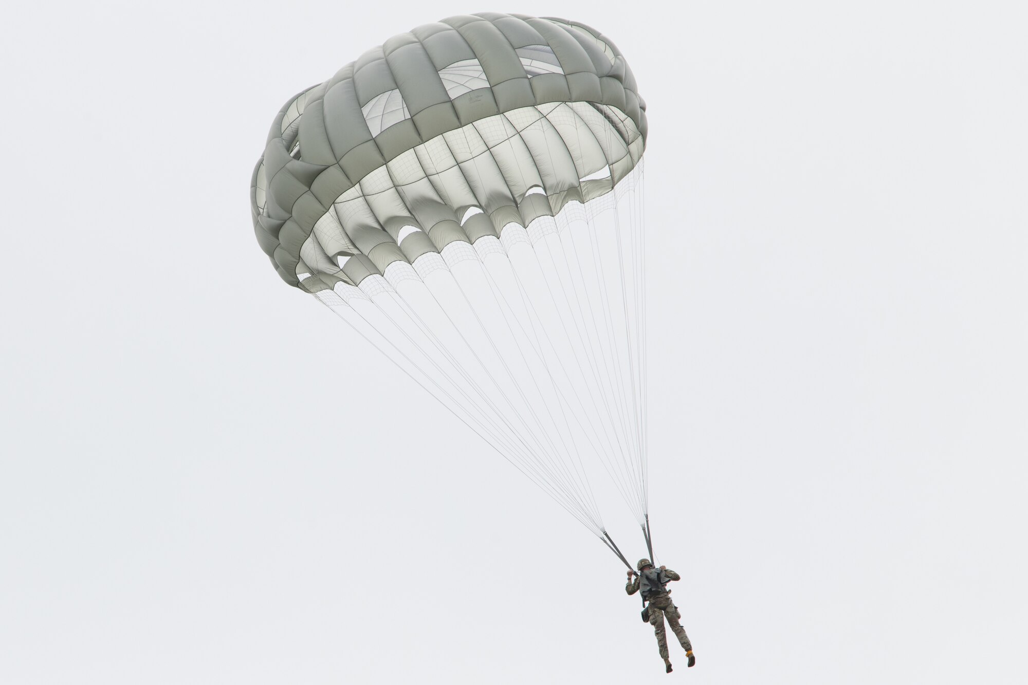Paratroopers of the 2nd Infantry Brigade Combat Team (Airborne), 11th Airborne Division, the “Arctic Angels”, descend on Malemute Drop Zone at Joint Base Elmendorf-Richardson, Alaska, in a mass parachute exhibition for service members, gathered families, and distinguished guests in celebration of National Airborne Day.