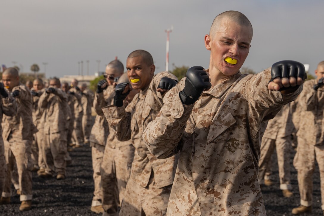 U.S. Marine Corps recruits with Delta Company, 1st Recruit Training Battalion, execute a lead hand punch during a Marine Corps Martial Arts Program training event at Marine Corps Recruit Depot San Diego, California, Aug. 14, 2024. MCMAP aims to strengthen the mental and moral resiliency of individual recruits and Marines through realistic combative training, warrior ethos studies and physical hardening. (U.S. Marine Corps photo by Lance Cpl. Janell B. Alvarez)