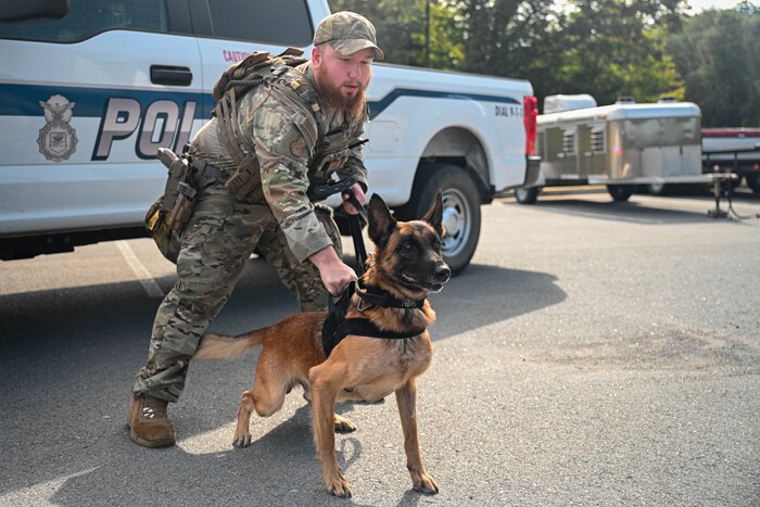 Senior Airman Clayton Aston, 19th Security Forces Squadron military working dog handler, holds back MWD, Mirco, at Little Rock Air Force Base, Arkansas, Aug. 16, 2024. All MWDs complete an obedience training course at least twice a week, while also performing multiple drug detection scenarios to maintain their proficiencies.