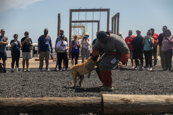 Educators with 12th Marine Corps District watch a K-9 military working dog demonstration during an Educators Workshop event at Marine Corps Recruit Depot San Diego in San Diego, Aug. 6, 2024. The Educators Workshop program provides selected educators and influential community members with an experiential opportunity to see how the Marine Corps transforms young men and women into Marines. The workshop also provides attendees with current information regarding Marine Corps training practices, military job skills, service opportunities, military lifestyle, and educational benefits available to Marines. (U.S. Marine Corps photo by Staff Sgt. Jesula Jeanlouis)
