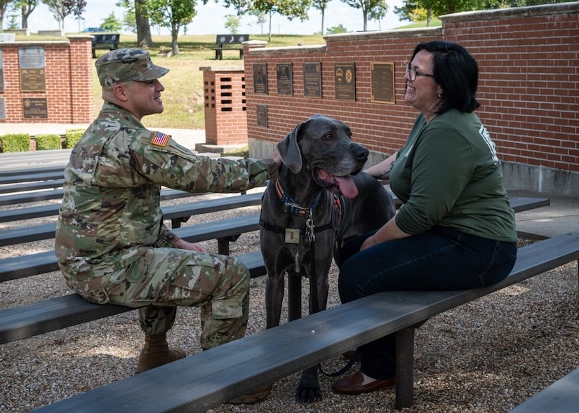 Two people sitting on benches pet a large dog.