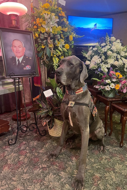 A dog sits near a soldier’s memorial at a funeral parlor.