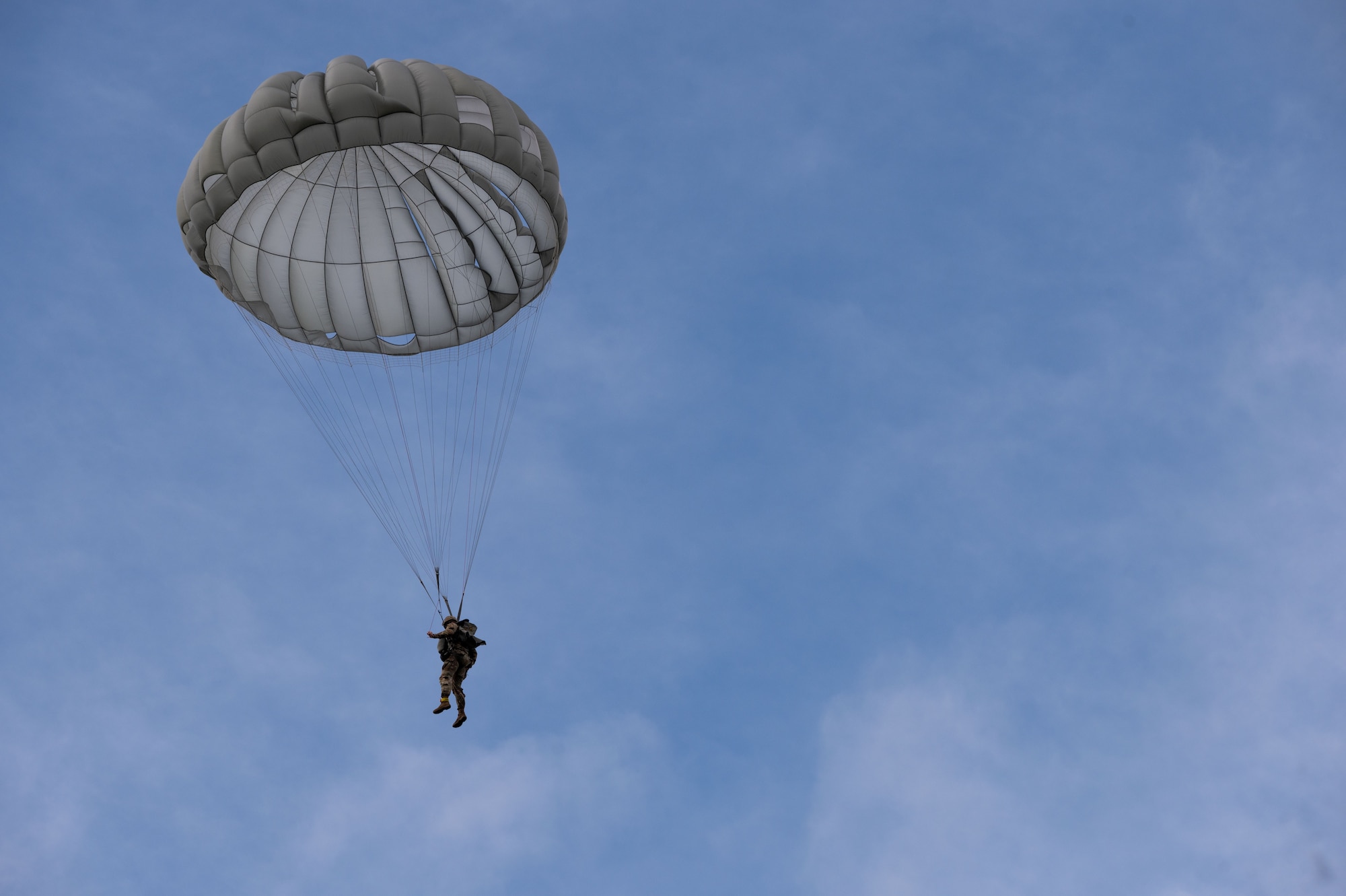 11th Airborne Divison participates in National Airborne Day