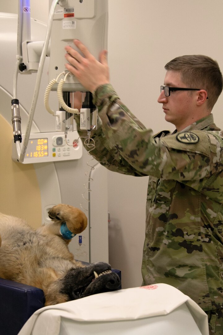 SPC Joshua Doty Positions CT Contrast Equipment During Scan of Dog