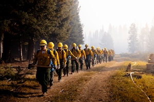 A line of service members wearing helmets and holding axes walk through a hazy wooded area.