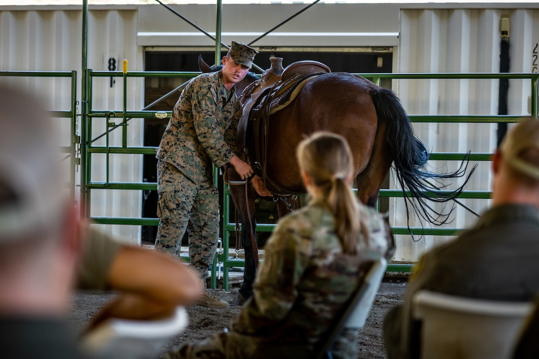 U.S. Marine Corps Staff Sgt. William Preston, a Port Republic, Maryland native, Mountain Warfare Instructor with Marine Corps Mountain Warfare Training Center, Marine Air-Ground Task Force Training Command, leads a saddling class during Animal Packers Course 2-24 at Marine Corps Mountain Warfare Training Center, Bridgeport, California, Aug. 5, 2024. Animal Packers Course teaches personnel to load and maintain pack animals for military applications in difficult terrain with mission-essential gear. (U.S. Marine Corps photo by Lance Cpl. Iris Gantt)