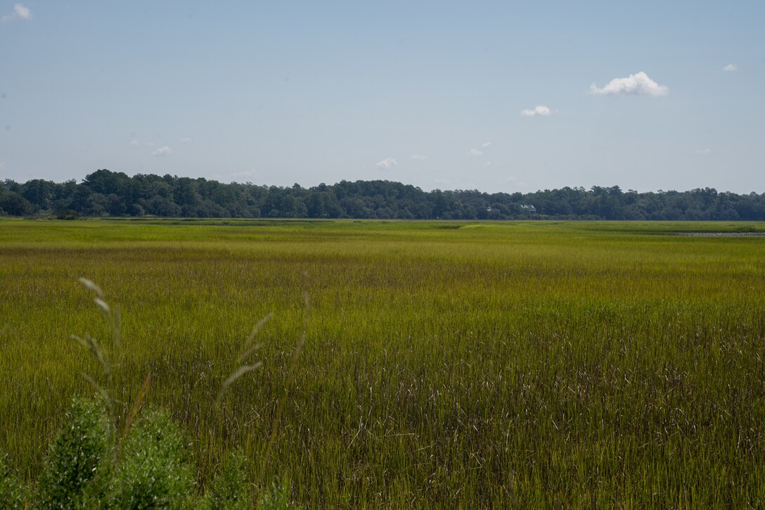 Marine Corps Air Station (MCAS) Beaufort, the Department of the Navy, The Nature Conservancy, and the Beaufort County Open Land Trust, sign an easement to protect 4,409-acre Gregorie Neck tract, Jasper County, South Carolina, August 15, 2024. The easement provides ecological benefits as well as maintains MCAS Beaufort’s air space for F/A-18 Hornet and F-35B Lightning II operations. (U.S. Marine Corps photo by Lance Cpl. Kyle Baskin)