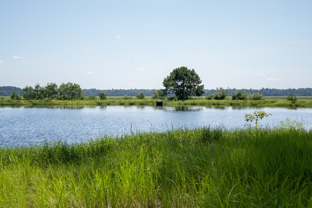 Marine Corps Air Station (MCAS) Beaufort, the Department of the Navy, The Nature Conservancy, and the Beaufort County Open Land Trust, sign an easement to protect 4,409-acre Gregorie Neck tract, Jasper County, South Carolina, August 15, 2024. The easement provides ecological benefits as well as maintains MCAS Beaufort’s air space for F/A-18 Hornet and F-35B Lightning II operations. (U.S. Marine Corps photo by Lance Cpl. Kyle Baskin)