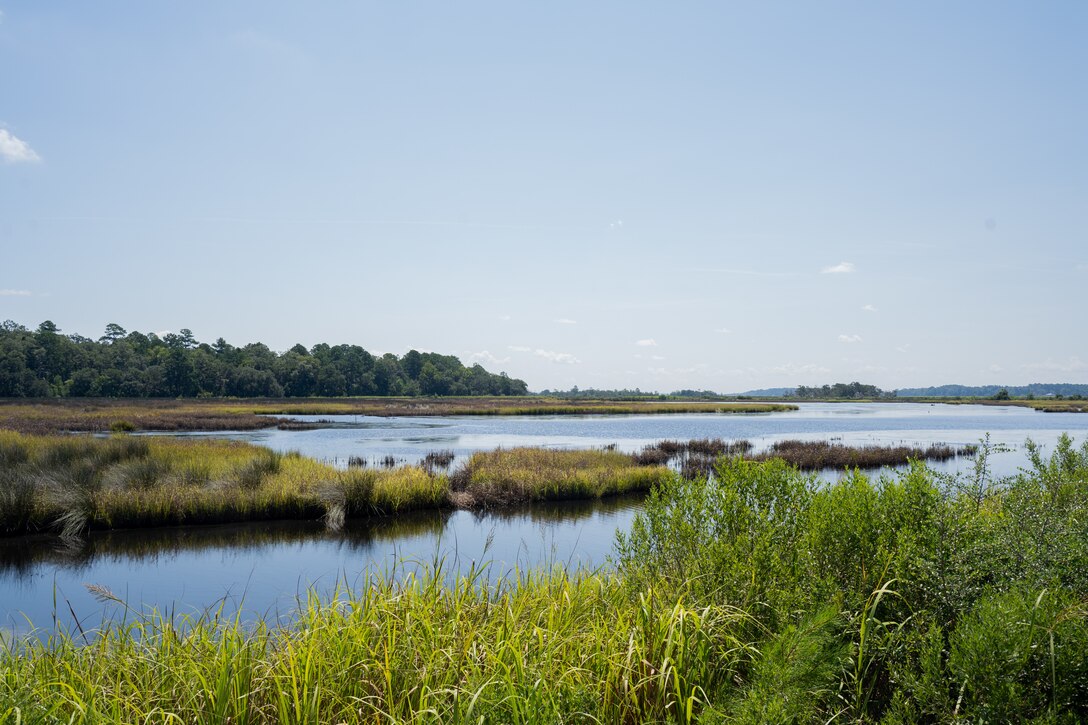 Marine Corps Air Station (MCAS) Beaufort, the Department of the Navy, The Nature Conservancy, and the Beaufort County Open Land Trust, sign an easement to protect 4,409-acre Gregorie Neck tract, Jasper County, South Carolina, August 15, 2024. The easement provides ecological benefits as well as maintains MCAS Beaufort’s air space for F/A-18 Hornet and F-35B Lightning II operations. (U.S. Marine Corps photo by Lance Cpl. Kyle Baskin)