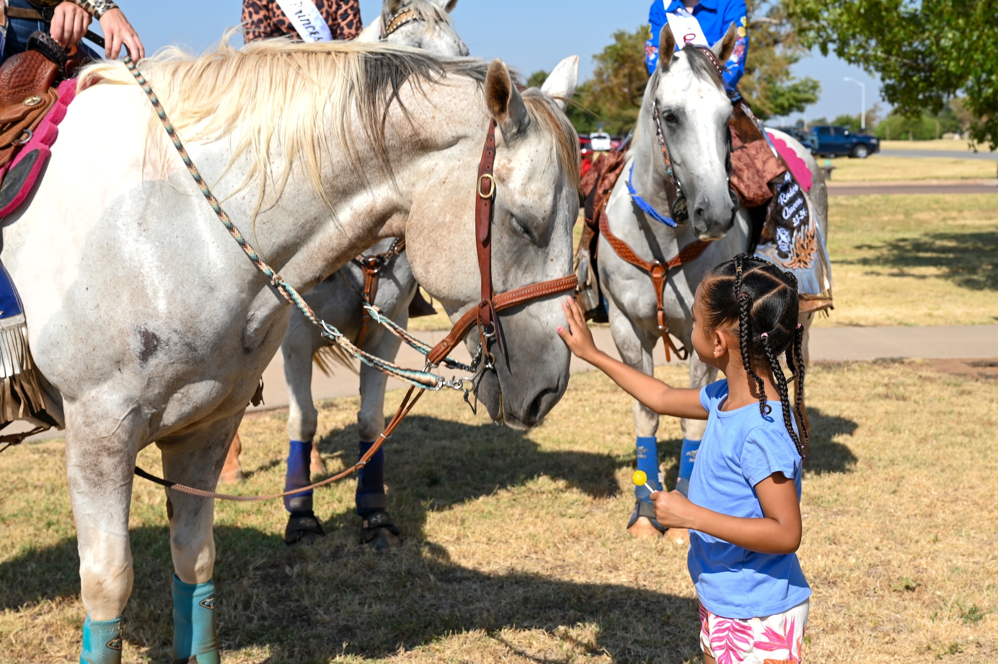 Amelia Wagner, daughter of Master Sgt. Derrick Wagner, 54th Air Refueling Squadron boom operator instructor, pets a horse at Altus Air Force Base, Oklahoma, during the 26th Annual
Cattle Drive, Aug. 22, 2024. During the cattle drive, base commanders, local ranchers, and rodeo members get the opportunity to ride horses and herd a group of longhorn cattle
throughout the base. (U.S. Air Force photo by Senior Airman Kari Degraffenreed)
