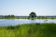 Environmental photo of the land at Gregorie Neck.