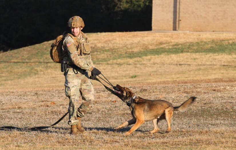 A soldier and a military working dog train in a field.